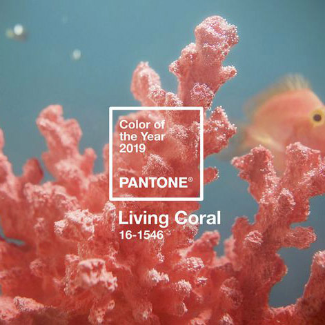 The "Living Coral" on design surfaces The "Living Coral" on design surfaces