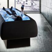 Wellness and neurosciences for Starpool and Neocogita